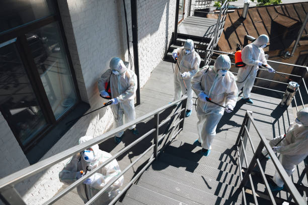 Trusted Lanse, MI Mold Removal Experts