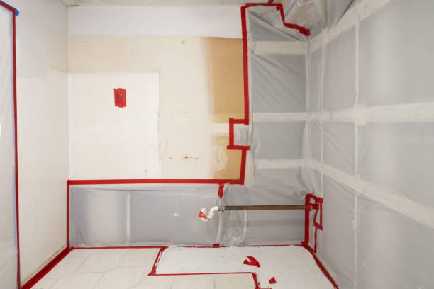 Mold Remediation for Vacation Homes in Lanse, MI