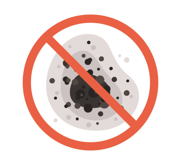 Best Mold Damage Restoration  in Lanse, MI
