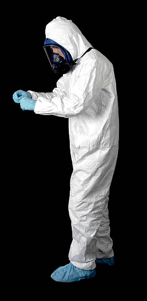  Lanse, MI Mold Removal Pros
