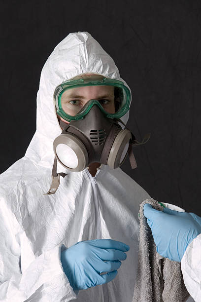 Best Mold Remediation for Healthcare Facilities  in Lanse, MI